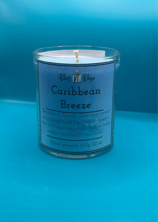Caribbean Breeze – Sea Minerals & Kelp Soy Candle