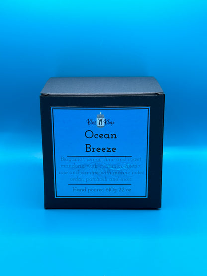 Caribbean Breeze – Sea Minerals & Kelp Soy Candle