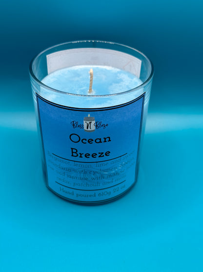 Caribbean Breeze – Sea Minerals & Kelp Soy Candle